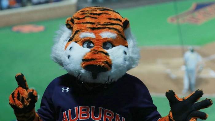 Aubie
